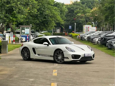 2015 Porsche Cayman Style Edition 2.7L, фото 3, лот 10632597