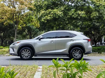 2018 Lexus NX Model 200 FWD Fengxing Edition China V, фото 4, лот 10314385