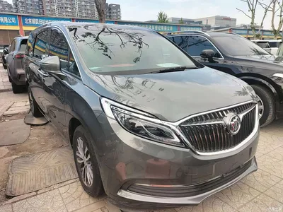 2017 Buick GL8 ES 28T Luxury China V, фото 2, лот 10256413