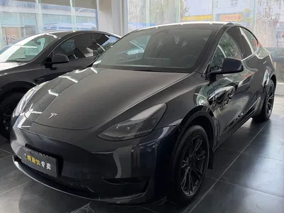 2024 Tesla Model Y Rear-Wheel Drive Version, фото 1, лот 11214850