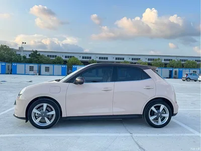 2022 Ora Good Cat Model Morandi Edition 400km Standard Range Premium LFP, фото 3, лот 10331558