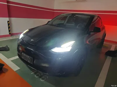 2022 Tesla Model Y Rear-Wheel Drive Version, фото 1, лот 10390436