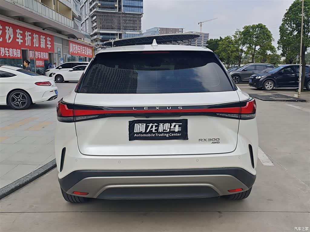 2025 Lexus RX 300 4WD Premium Edition, фото 4, лот 11216080