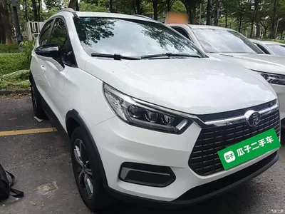 2019 BYD Yuan New Energy EV535 High Energy Navigation Edition, фото 4, лот 10294603