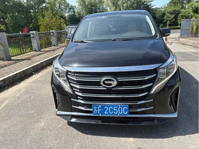 2021 GAC Trumpchi Trumpchi M8 Leading Show Series 390T Luxury Edition, фото 2, лот 10417933