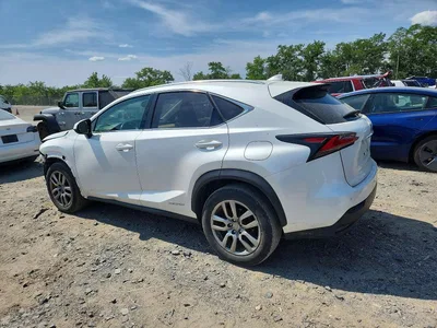 2015 LEXUS NX 300H, фото 2, лот 10843947