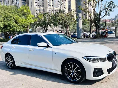 2020 BMW 3 Series 320Li M Sport Package, фото 3, лот 11211214