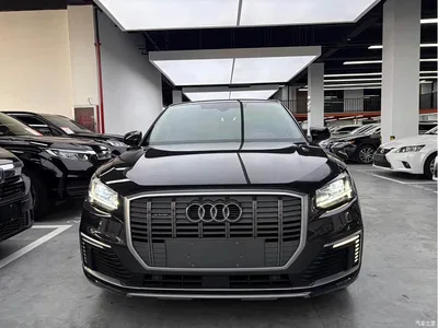 2019 Audi Q2L e-tron Pure Electric Smart Enjoyment, фото 2, лот 10598479