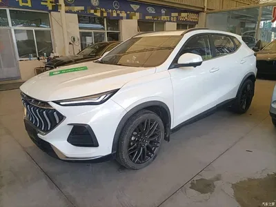 2021 Changan Oshan Changan Oushang X5 1.5T DCT Flagship, фото 1, лот 11162536