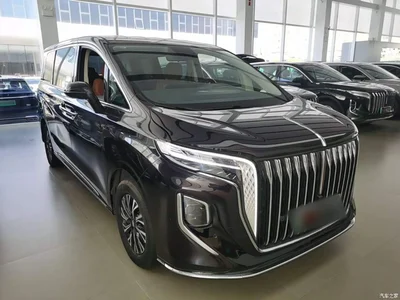 2024 Hongqi HQ9 PHEV Model 2.0T AWD Business Edition, фото 4, лот 11518873