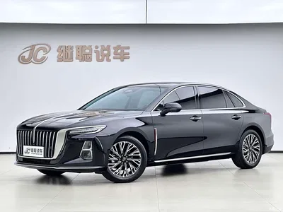 2024 Hongqi H5 2.0T Automatic Smart Connect Flag Smooth Edition, фото 1, лот 10629792