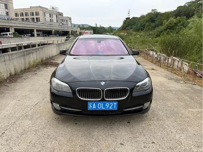 2013 BMW 5 Series 525Li Luxury, фото 2, лот 10482621