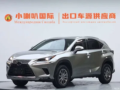2020 Lexus NX 200 AWD F Sport China VI, фото 1, лот 10311726