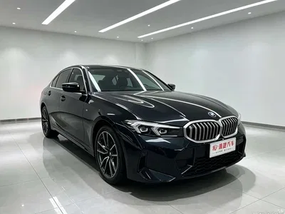 2024 BMW 3 Series 320Li M Sport Package, фото 3, лот 11242561