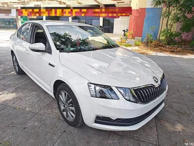 2019 Škoda Octavia 1.5L Automatic Smart Comfort Edition China V, фото 4, лот 10347982