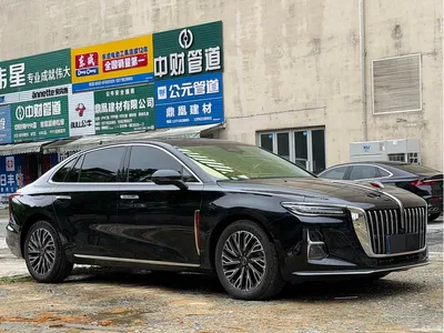 2025 Hongqi H5 2.0T Automatic Flag Celebration 500,000 Units Anniversary Edition, фото 3, лот 10288943