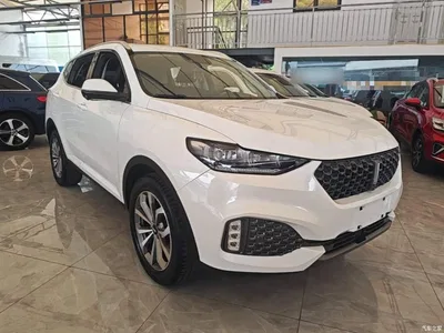 2020 WEY VV6 2.0T 2WD Smart Protection+, фото 4, лот 10452195