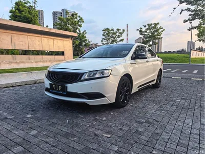 2016 Geely Borui 2.4L Comfort Edition, фото 1, лот 10359690