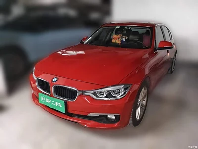 2016 BMW 3 Series 320Li Progressive, фото 2, лот 11073933