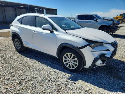 2018 LEXUS NX 300H, фото 4, лот 10844340