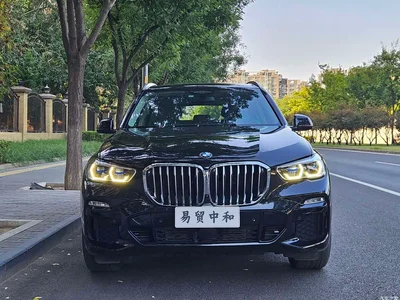 2020 BMW X5 (Import) xDrive40i Premium M Sport Package, фото 4, лот 10516326