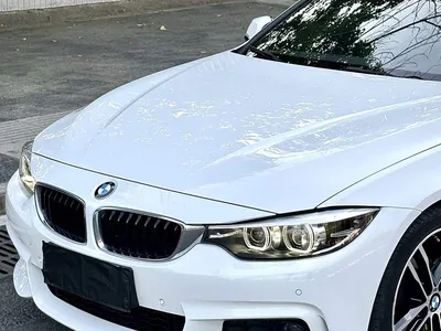 2019 BMW 4 Series 425i Gran Coupe M Sport Package, фото 2, лот 10890308