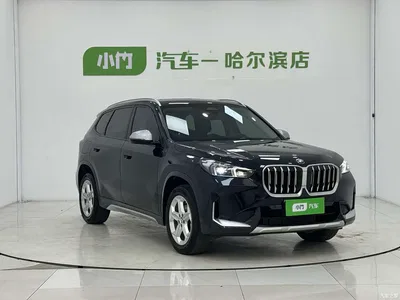 2023 BMW X1 sDrive20Li X Design Package, фото 3, лот 10419443