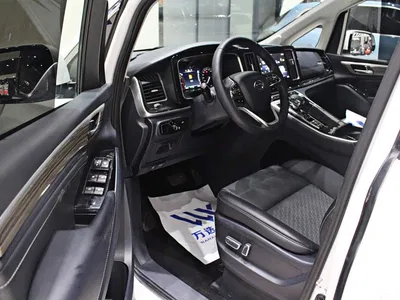 2024 GAC Trumpchi Trumpchi M8 Leadershow Series 390T Luxury Edition, фото 4, лот 10416627