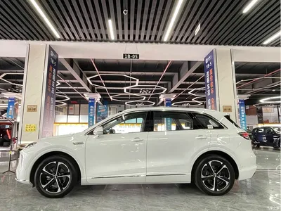 2025 Shangjie SUV Model Pure Electric Max, фото 4, лот 11642848