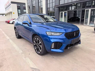 2017 WEY VV7 2.0T Flagship, фото 2, лот 11450675