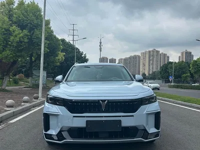 2024 Voyah Auto VOYAH FREE Ultra Long Range Intelligent Driving Edition, фото 2, лот 10311372