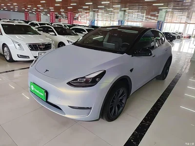 2023 Tesla Model Y Long Range All-Wheel Drive Edition, фото 2, лот 10888740