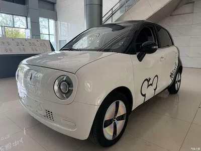 2021 Ora Black Cat 301km Pet Edition, фото 1, лот 10331137