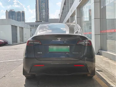 2021 Tesla Model Y Model Long Range AWD, фото 4, лот 11386432