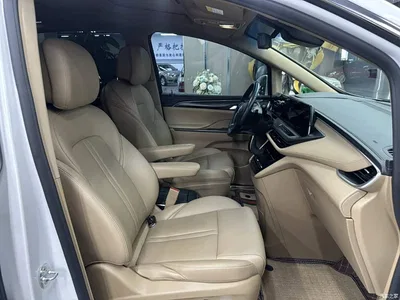 2021 Buick GL8 ES Landlord 653T Flagship, фото 3, лот 10262259