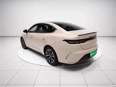 2024 BYD Destroyer 05 Glory Edition DM-i 55KM Luxury, фото 4, лот 10390238