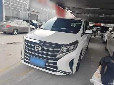 2021 GAC Trumpchi Trumpchi M8 Leading Show Series 390T Prestige Edition, фото 1, лот 10838608