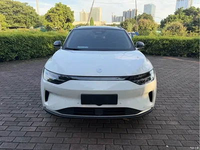 2021 Leapmotor C11 Luxury Edition, фото 2, лот 10316848