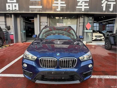 2019 BMW X1 sDrive18Li Fashion Model, фото 1, лот 10465873