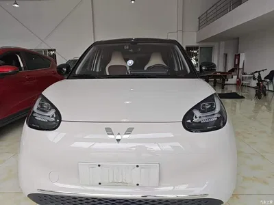 2024 Wuling Motors Wuling Bingo 333km Comfort Edition, фото 3, лот 10386427