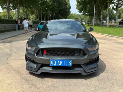 2015 Ford Mustang 2.3T 50th Anniversary Edition, фото 2, лот 10280232