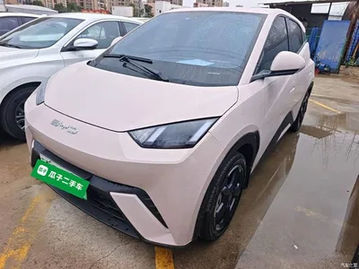 2023 BYD Seagull Freedom Edition, фото 2, лот 10262955