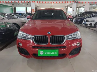 2016 BMW X4 Model xDrive20i M Sport, фото 3, лот 10899881