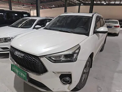 2019 Haval H6 Coupe 1.5T Automatic 2WD Luxury Smart Connect Edition China V, фото 1, лот 11222056