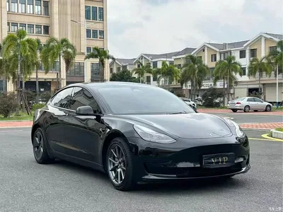 2022 Tesla Model 3 Model Rear-Wheel Drive Version, фото 3, лот 10357064