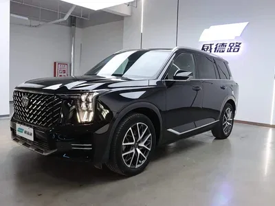 2022 GAC Trumpchi Trumpchi GS8 Pilot Series 2.0TGDI 2WD Luxury Smart Connect Edition (7-Seater), фото 1, лот 10414493