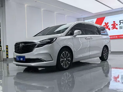 2022 Buick GL8 ES Landmark 653T Premium, фото 1, лот 11197186