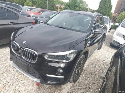 2018 BMW X1 sDrive18Li Premium Model, фото 1, лот 10899229