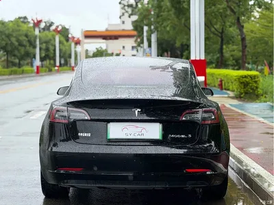 2020 Tesla Model 3 Standard Range Rear-Wheel Drive Upgrade, фото 4, лот 10804098