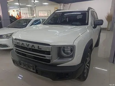2024 Haval Big Dog Model 1.5T DCT Labrador Edition, фото 2, лот 10361279